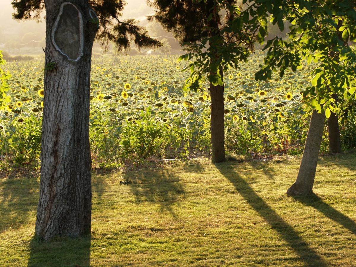 Bed and Breakfast Domaine De Luzenac Val-du-Faby Exteriér fotografie